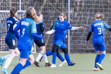 Bild 195 - wCJ Alstertal-Langenhorn - Ellerau : Ergebnis: 3:1